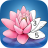 icon Zen Color 1.45.8