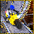 icon Extreme Bike Stunts 2017 1.1