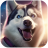 icon Husky Simulator 1.0.8