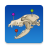 icon vet-Anatomy 4.0.0