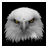 icon trackcars 2.0.15
