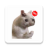 icon com.proWAStickerApps.catsmemes.memesdegatos 1.4.0