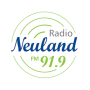 icon Radio Neuland 91.9 FM Paraguay