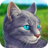 icon Cat SimulatorAnimal Life 1.0.2.7