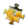 icon Jigsaw Puzzles - Landscape