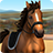 icon ShowJumping 3.0.2612