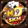 icon M9 SKM Matchimals game