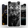 icon Black Wallpaper 2