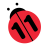 icon n11 14.12.1