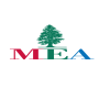 icon MEA